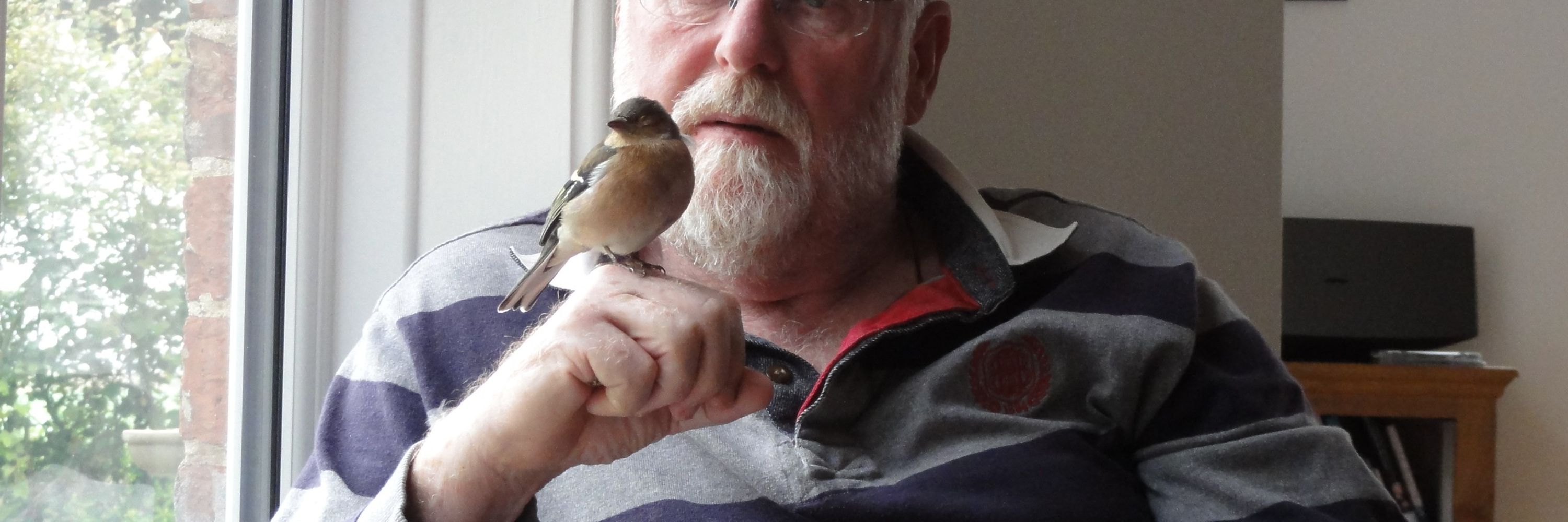 Bodmin Hermit
