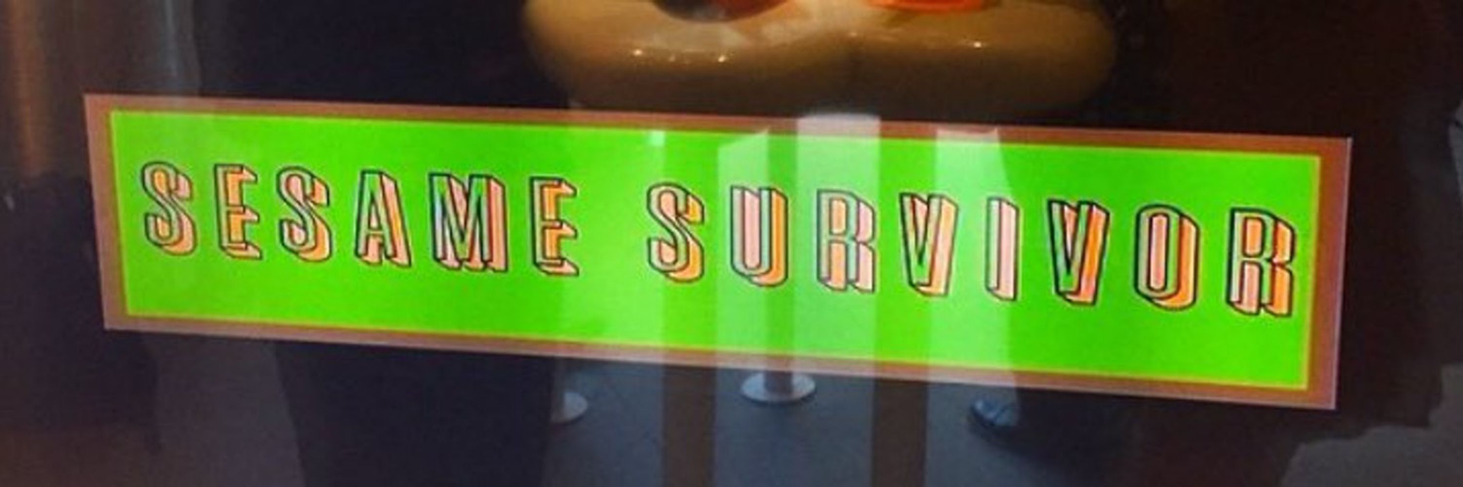 Sesame Survivor
