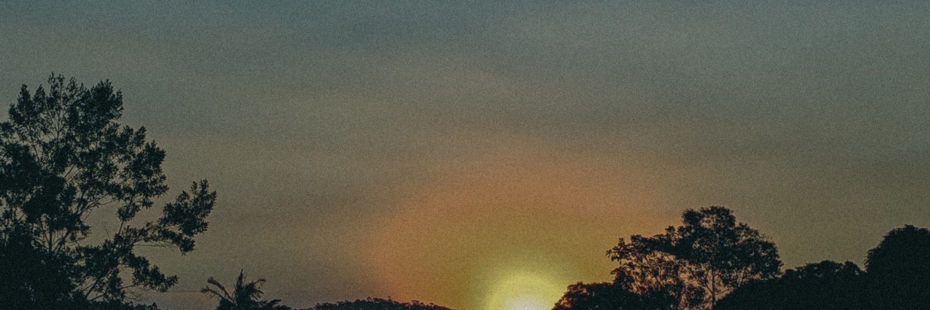 𝐋𝐞𝐨 