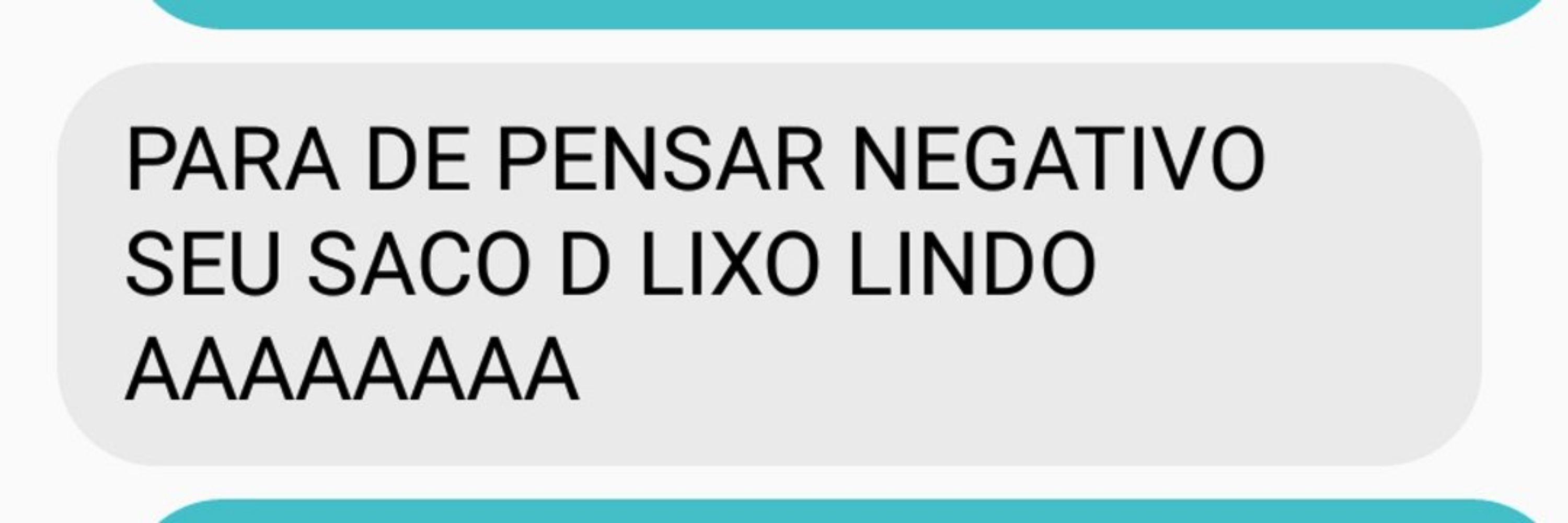 gata renascentista 