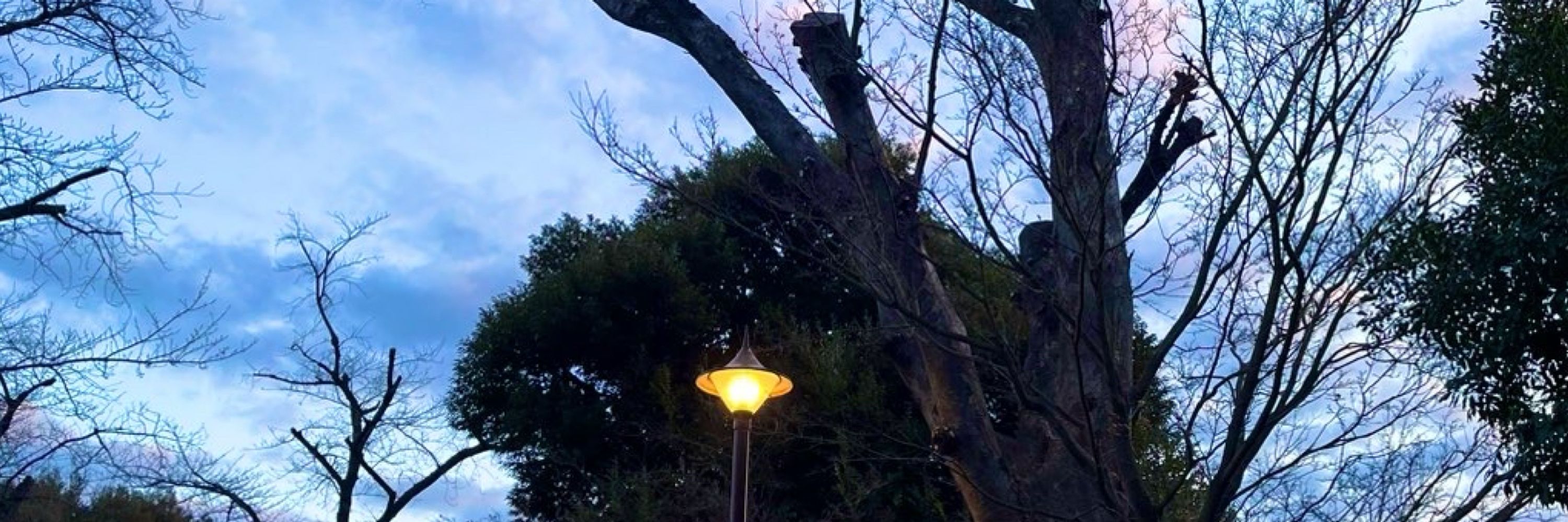 青空太郎