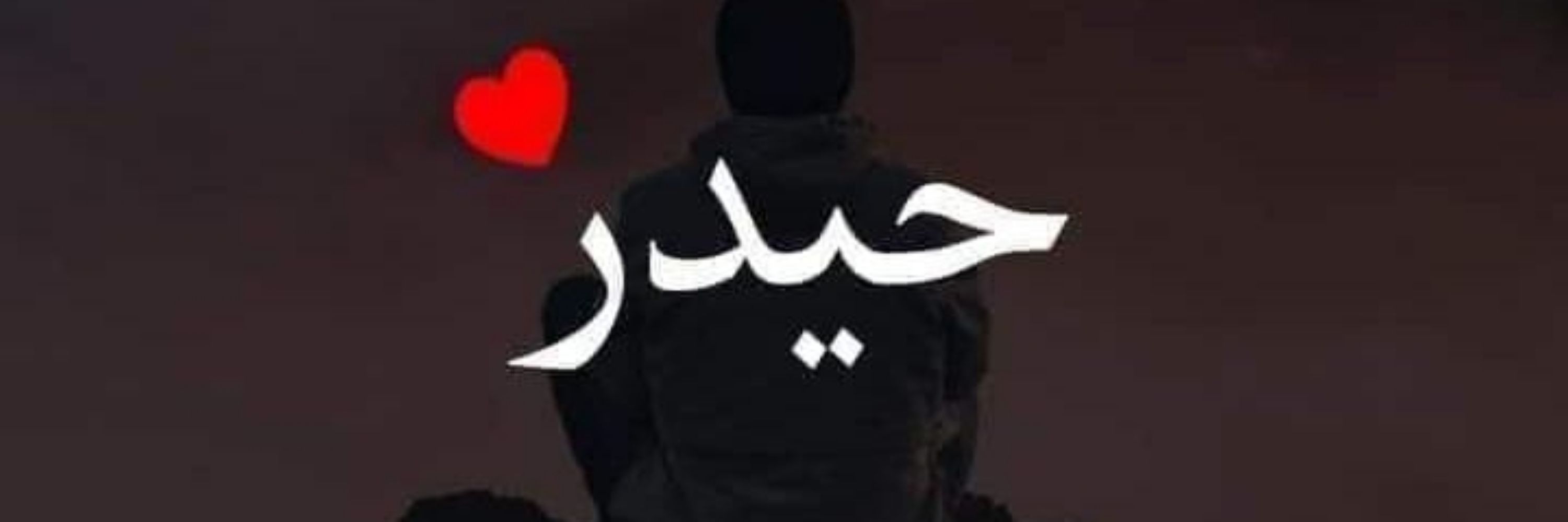 Zulqarnain Haider