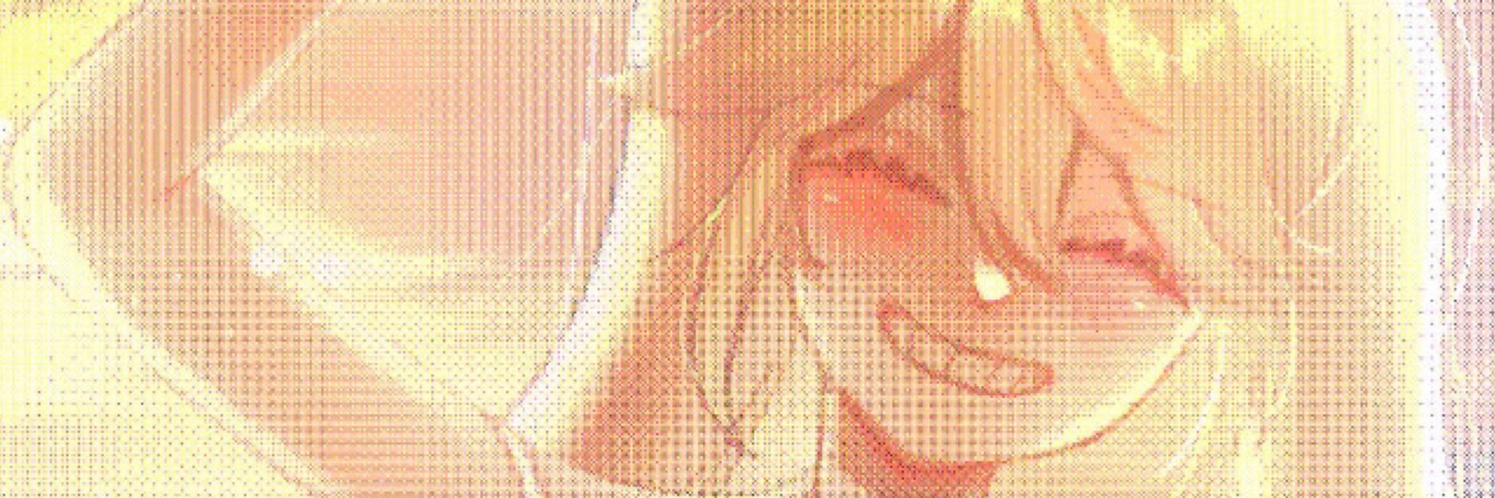 神様なあいか