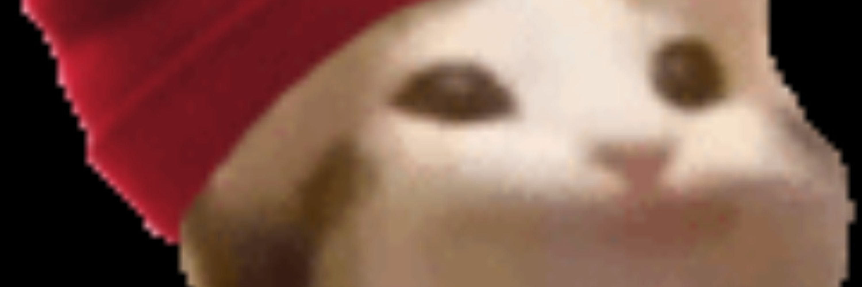 Daton