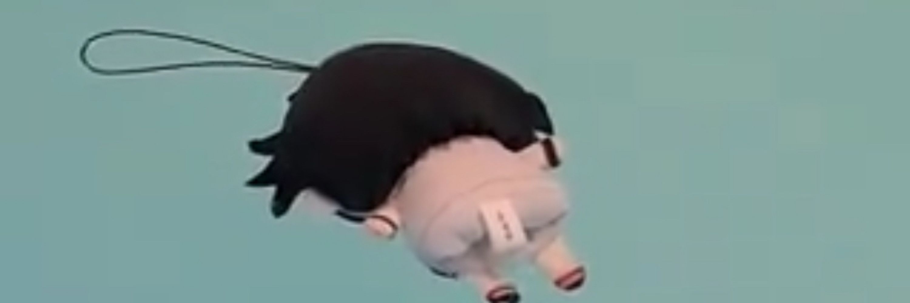 bap
