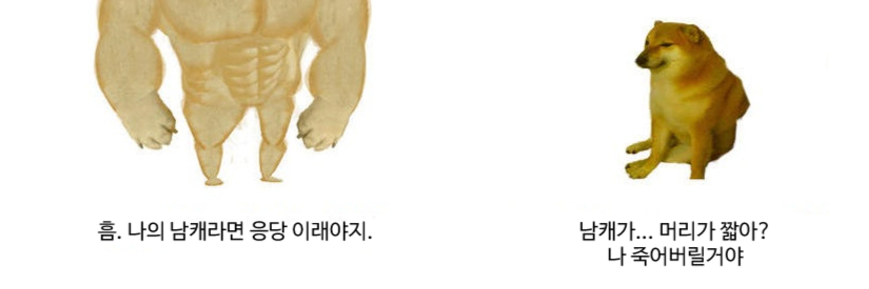 웃기는 소나무