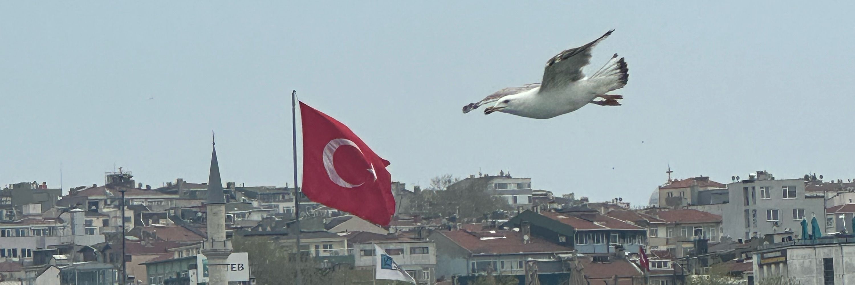 Güloş