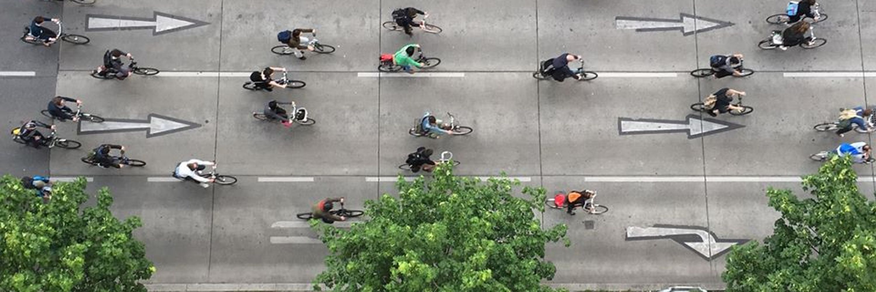Critical Mass Vienna