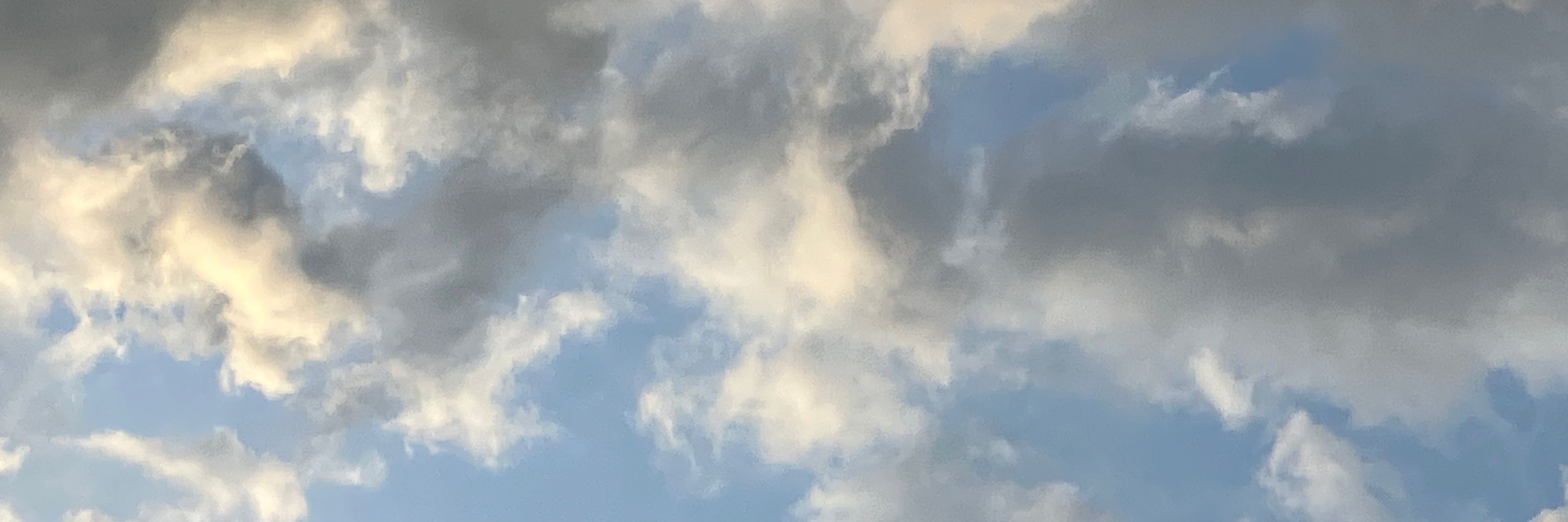 김변
