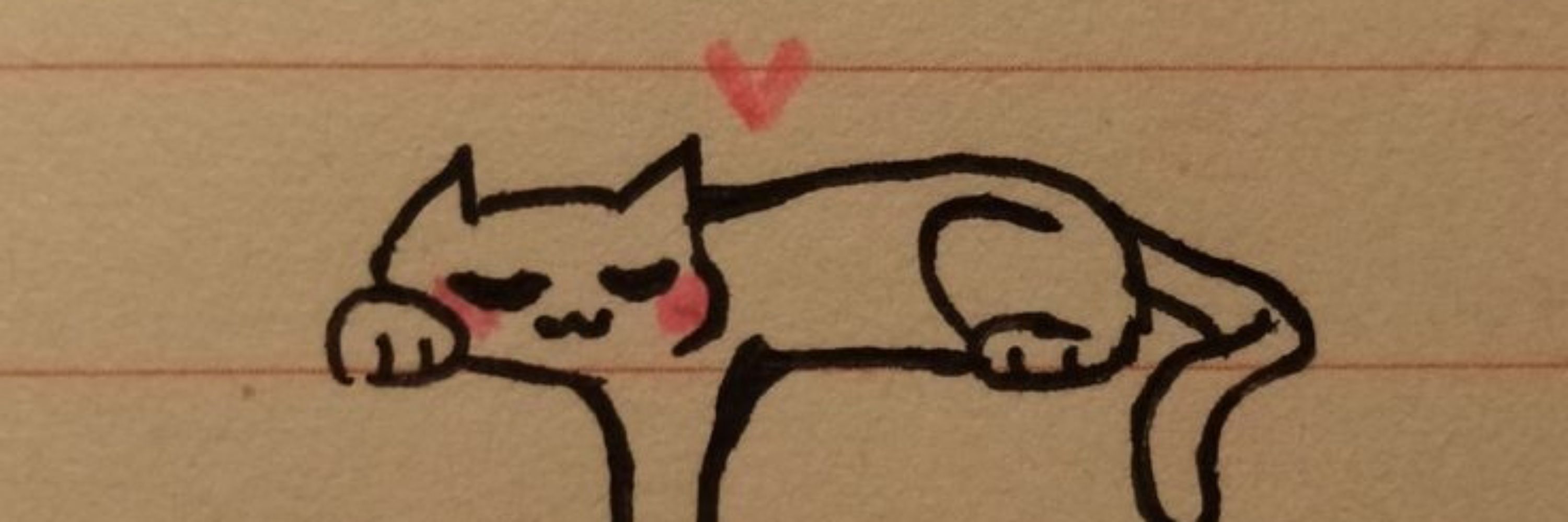 PinWii 🐾