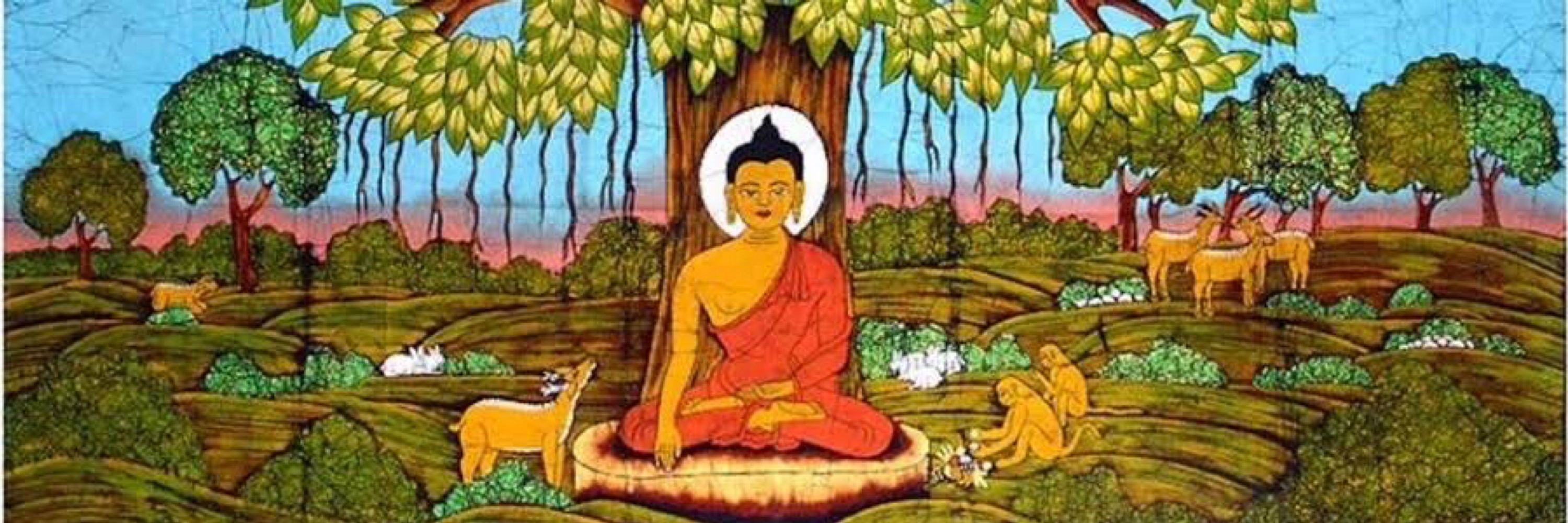Pensamentos do Samsara