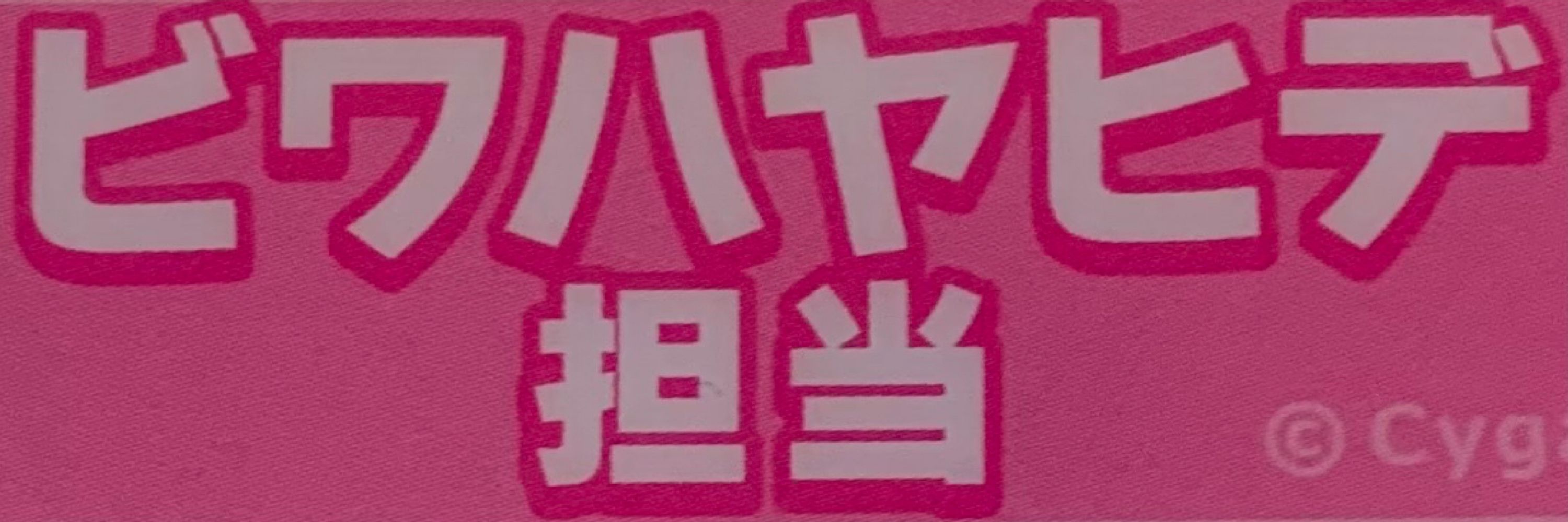 ビワハヤヒデ担当