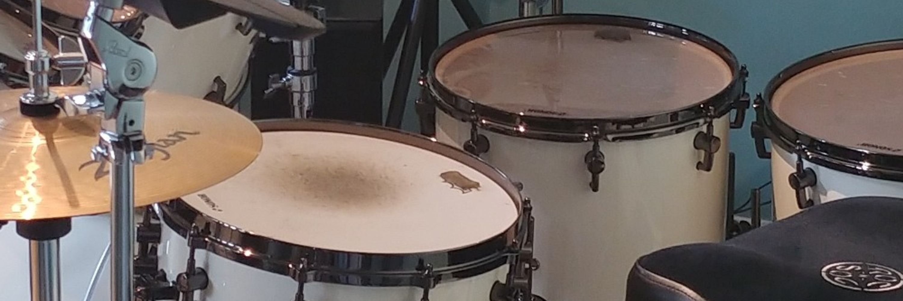 Subie         🎶🥁🎶keeping time on Earth🎶🥁🎶