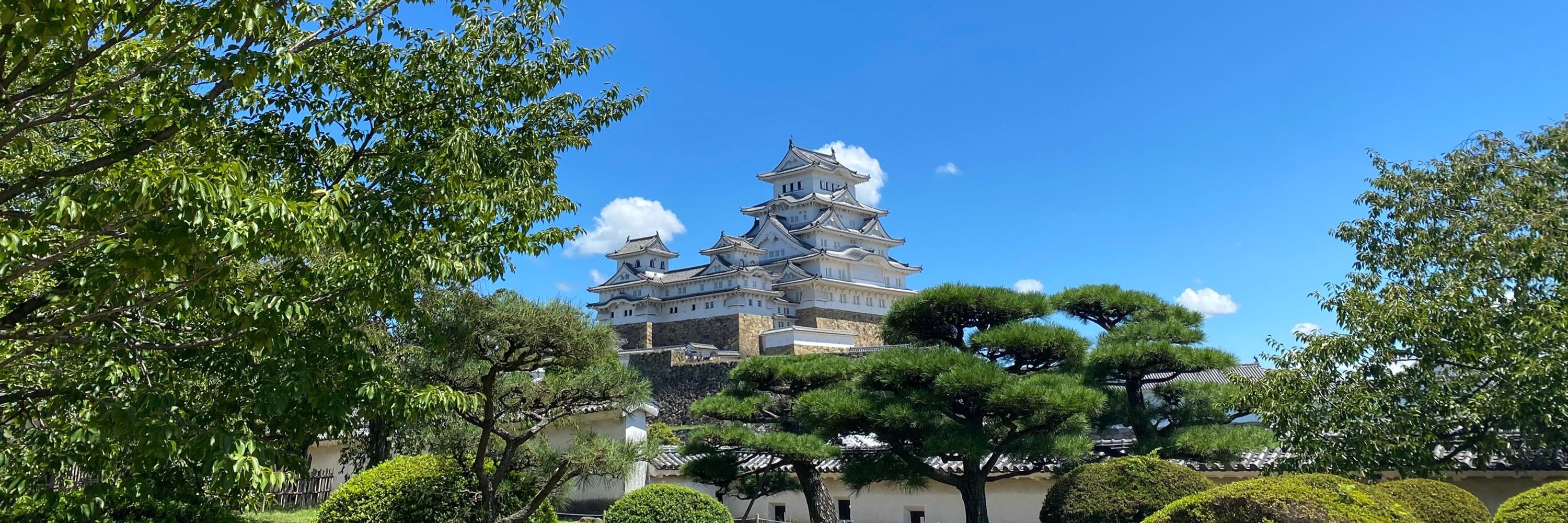 イカ