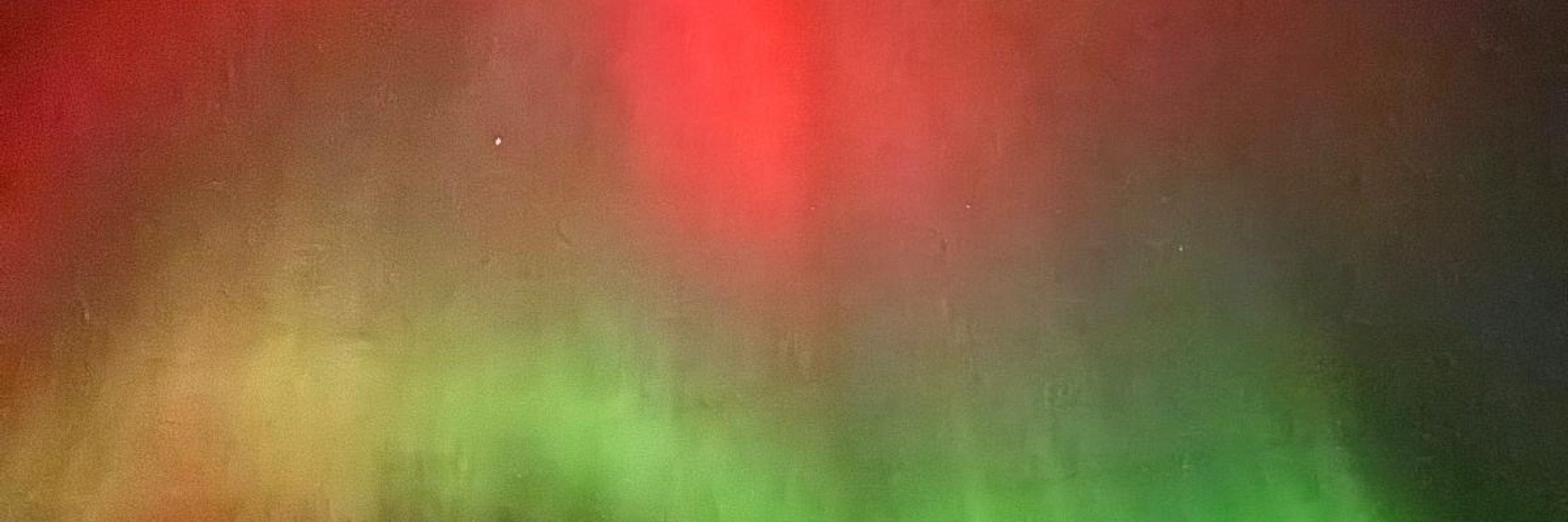 AlienLFI - 🇵🇸🏳️‍🌈🇲🇶🐢✌🏽