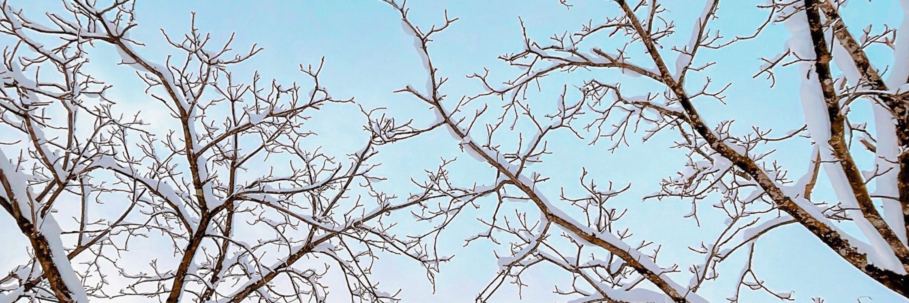 雪解け