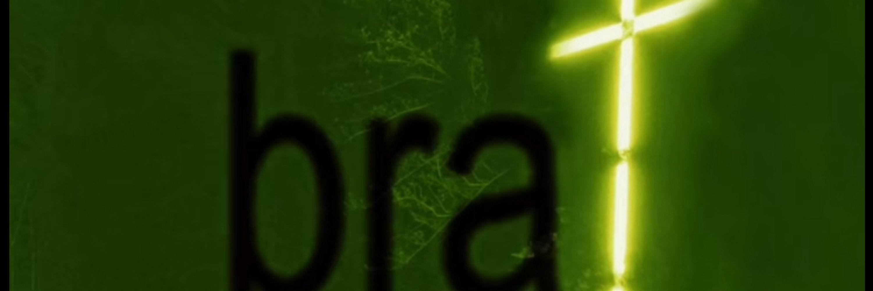 sem