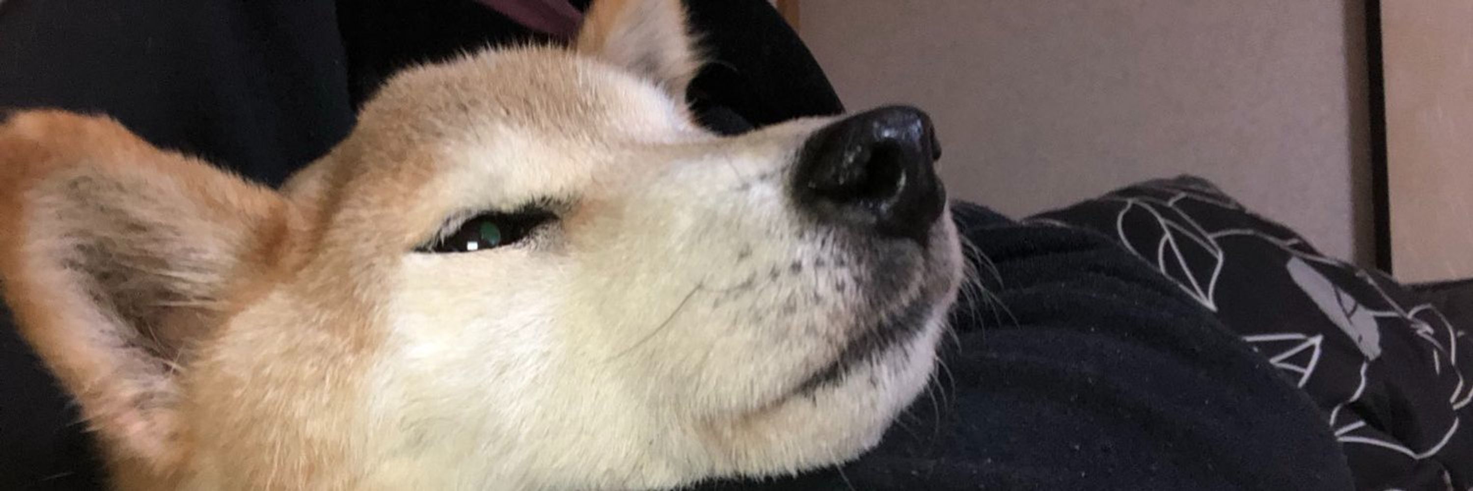 えーるん