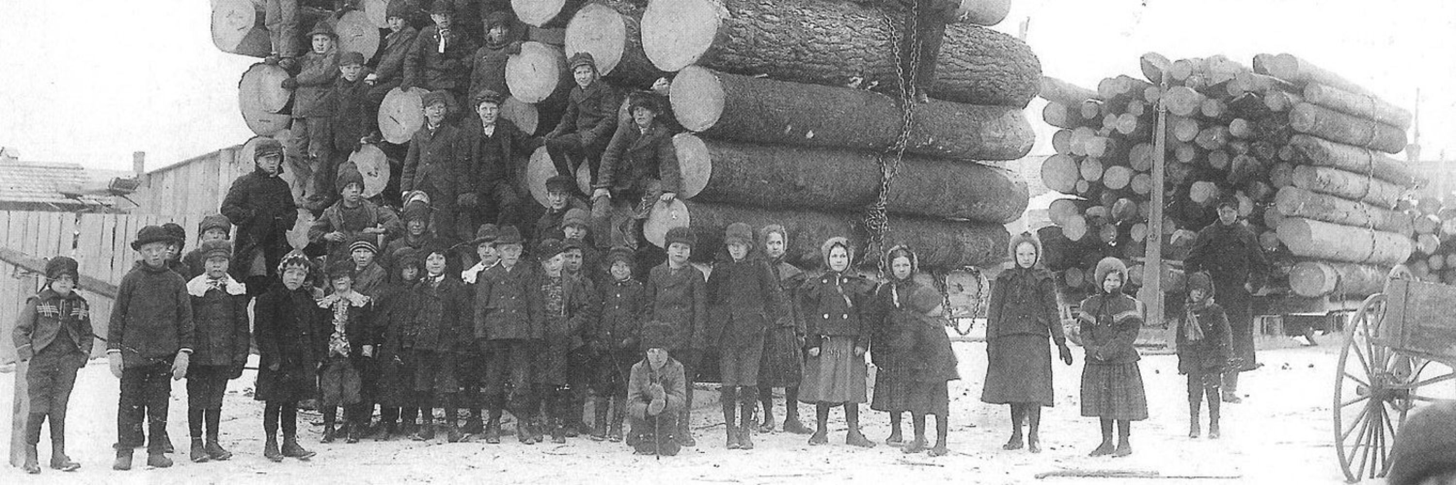 Educación Forestal