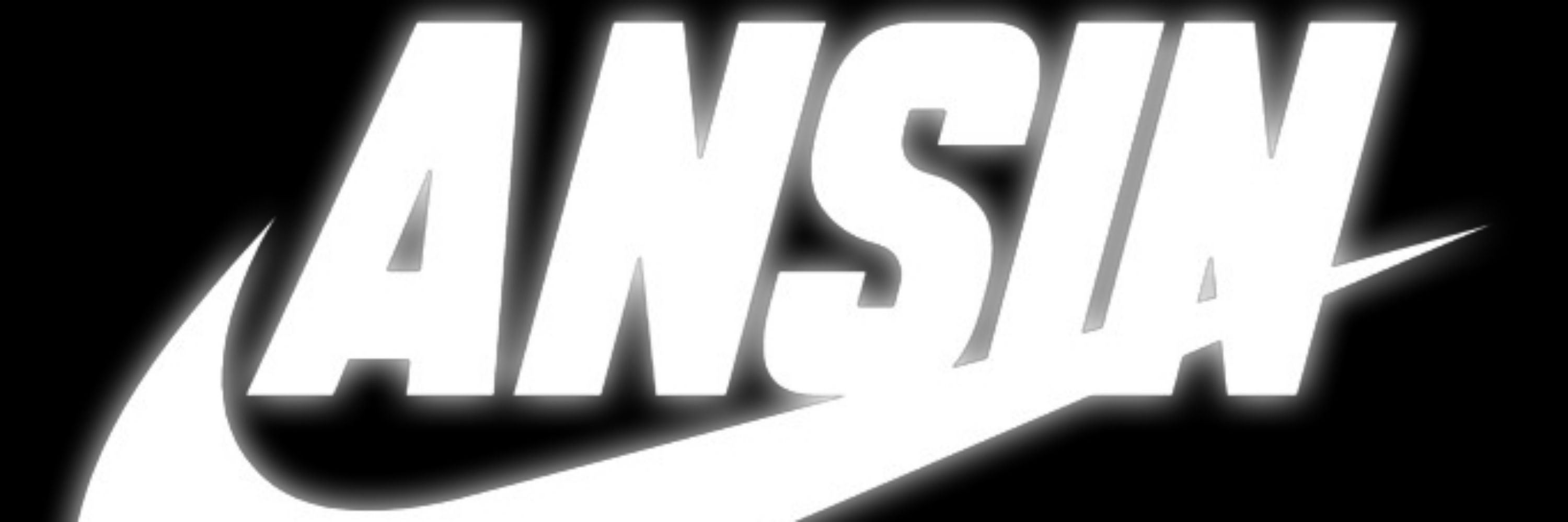 Ansin BS