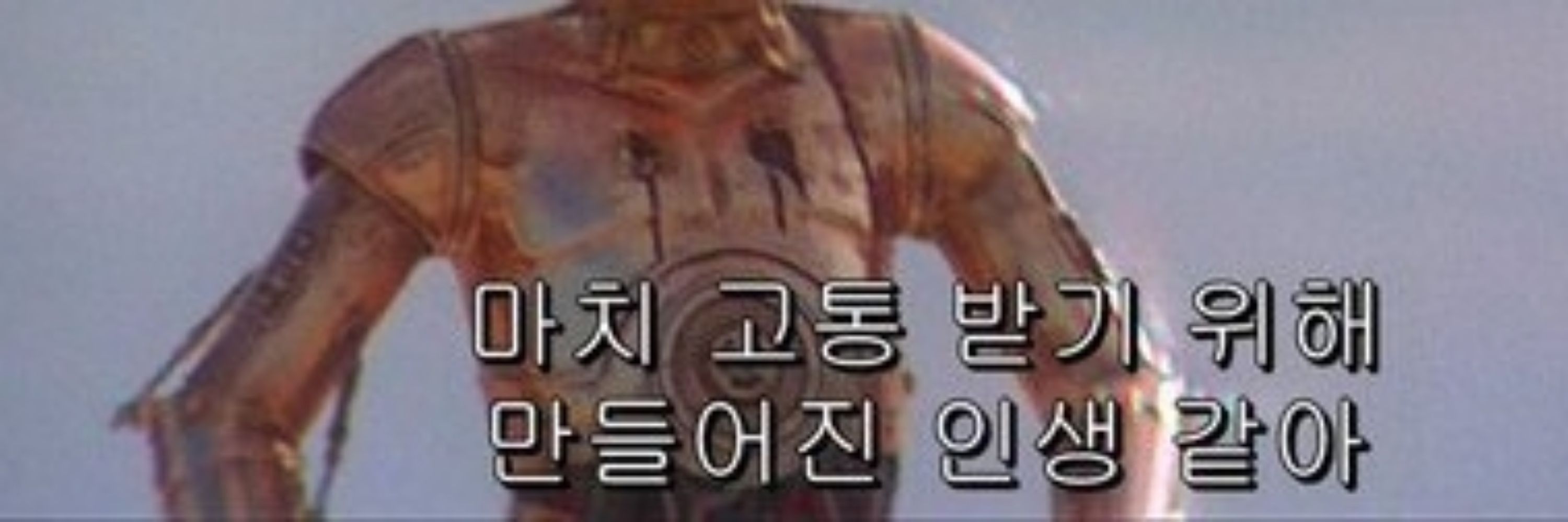 파들