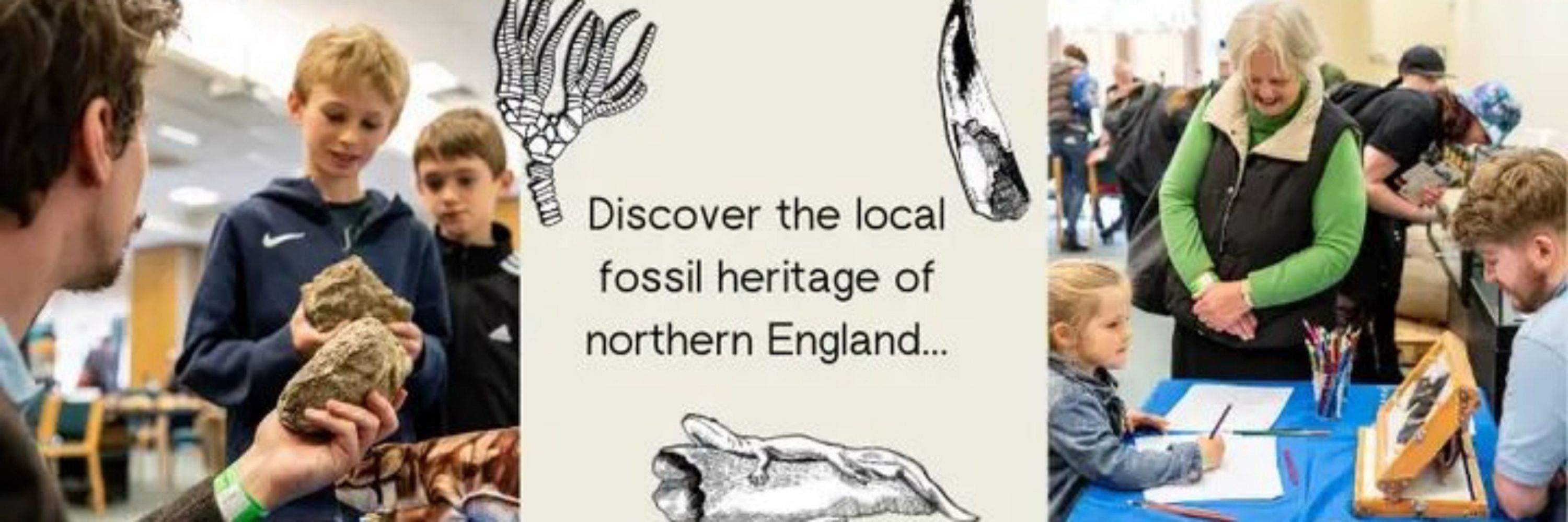 Fossils in t'Hills