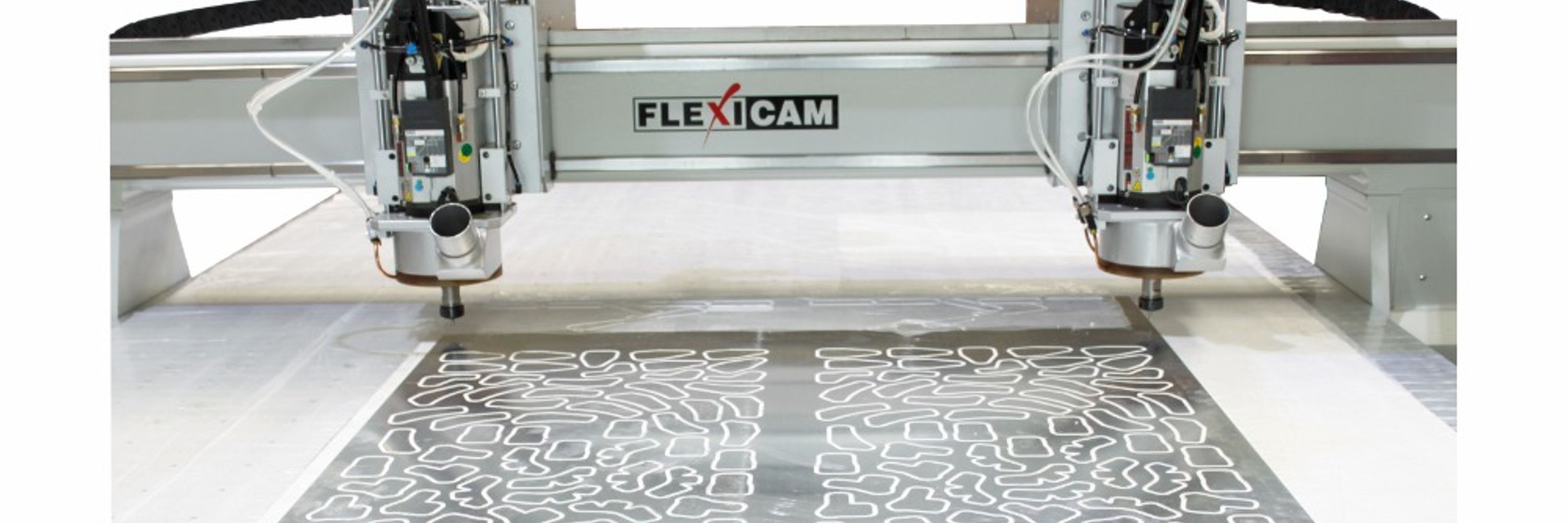 FlexiCAM