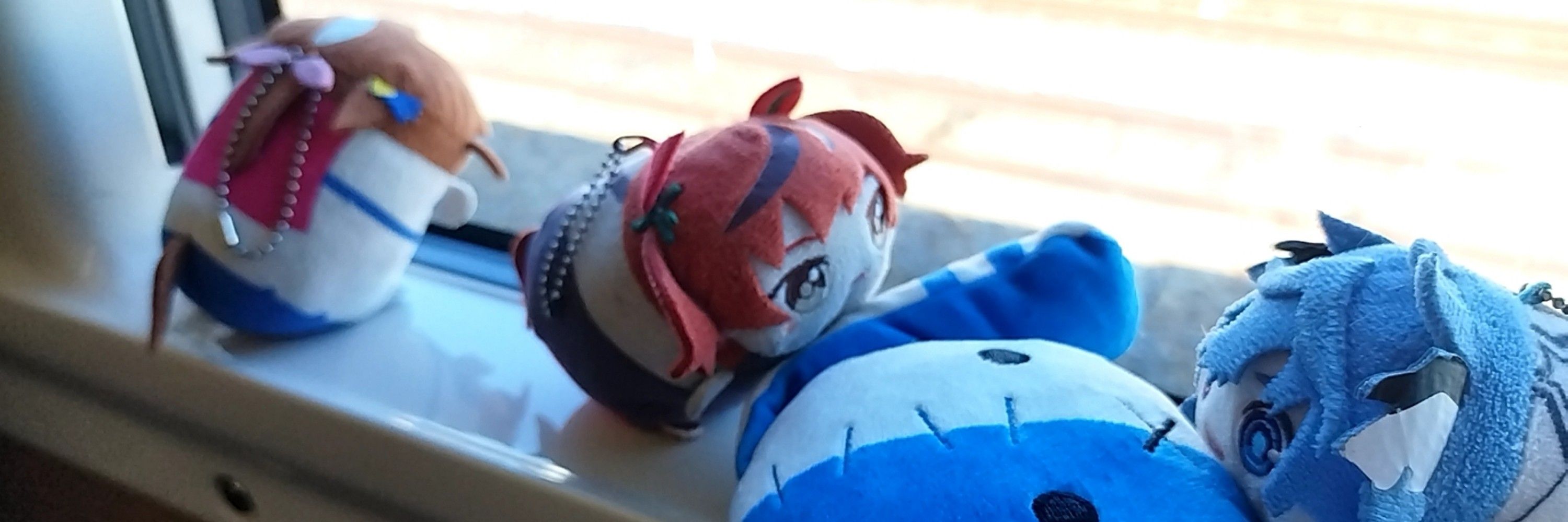 たこ