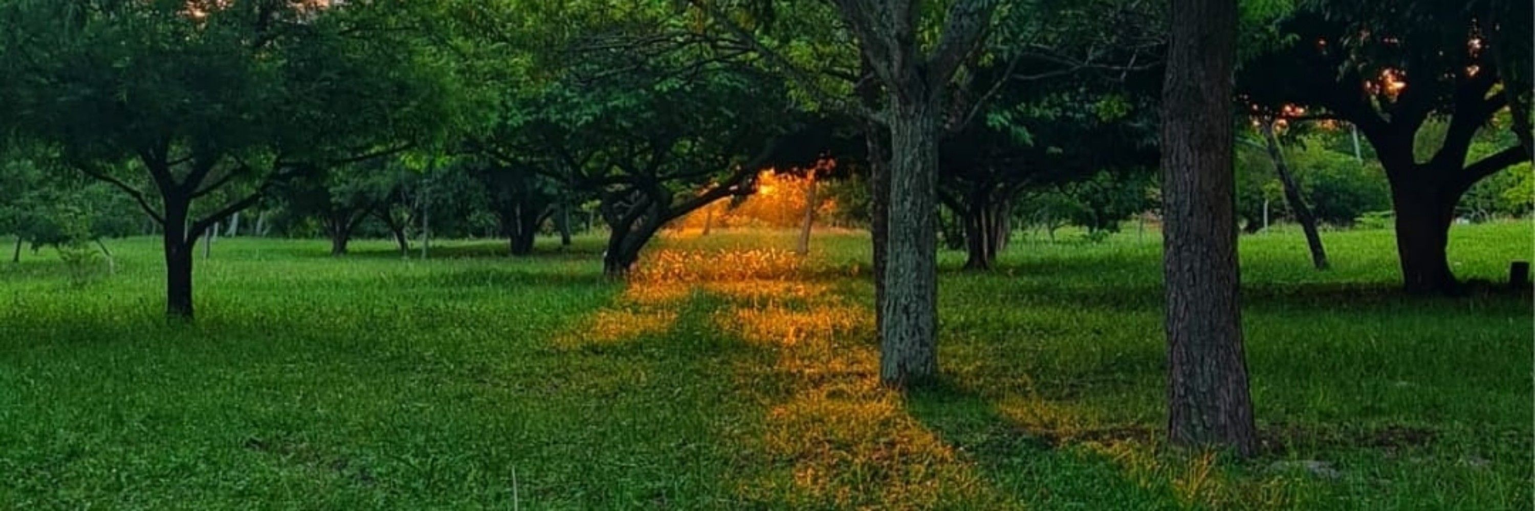 Afterglow