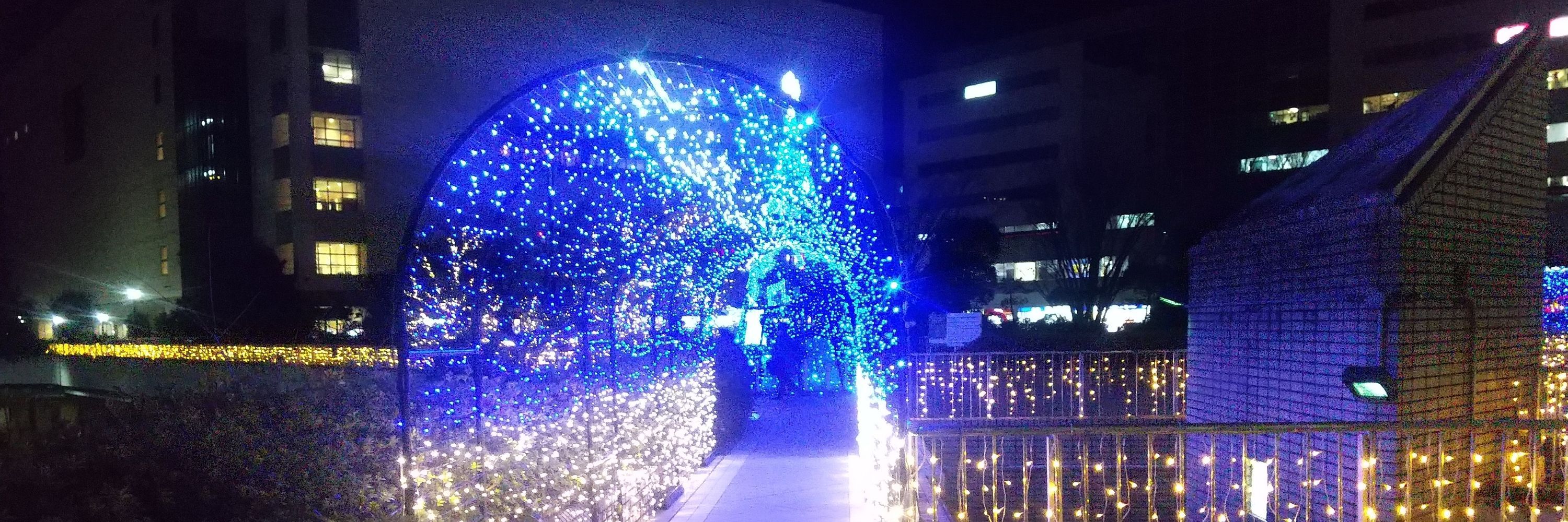 N1000【BLUE LIGHT Y.K-WINGS】