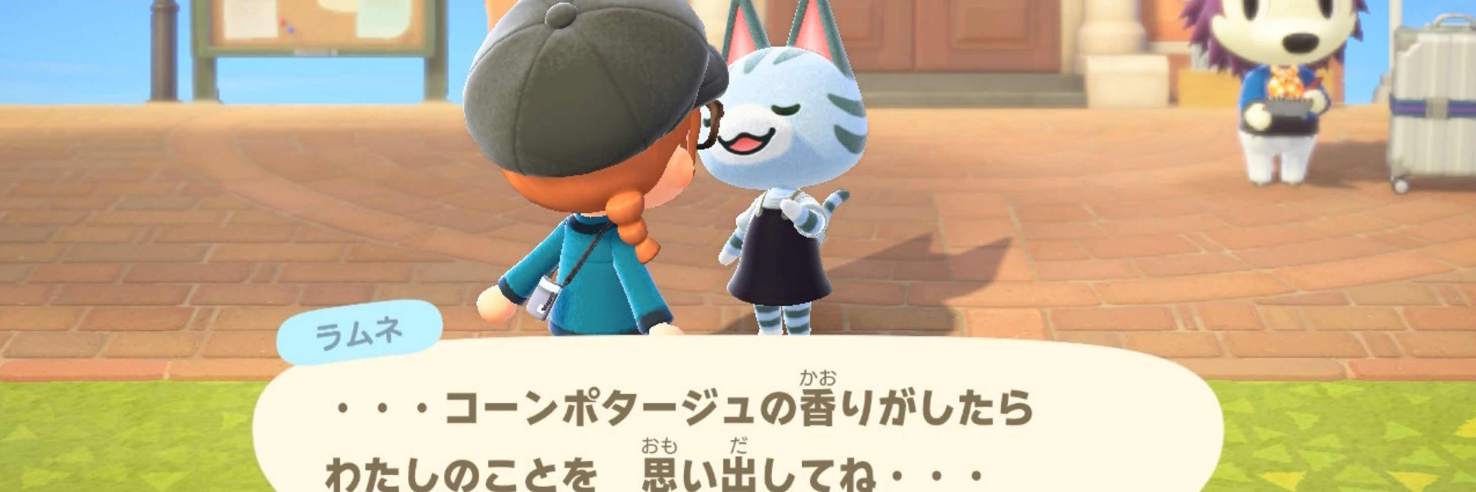 ぽむじゅ