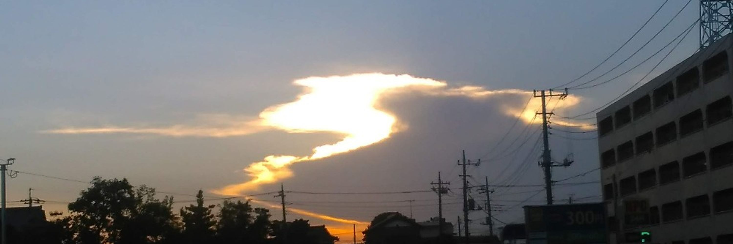 本の虫キムチ