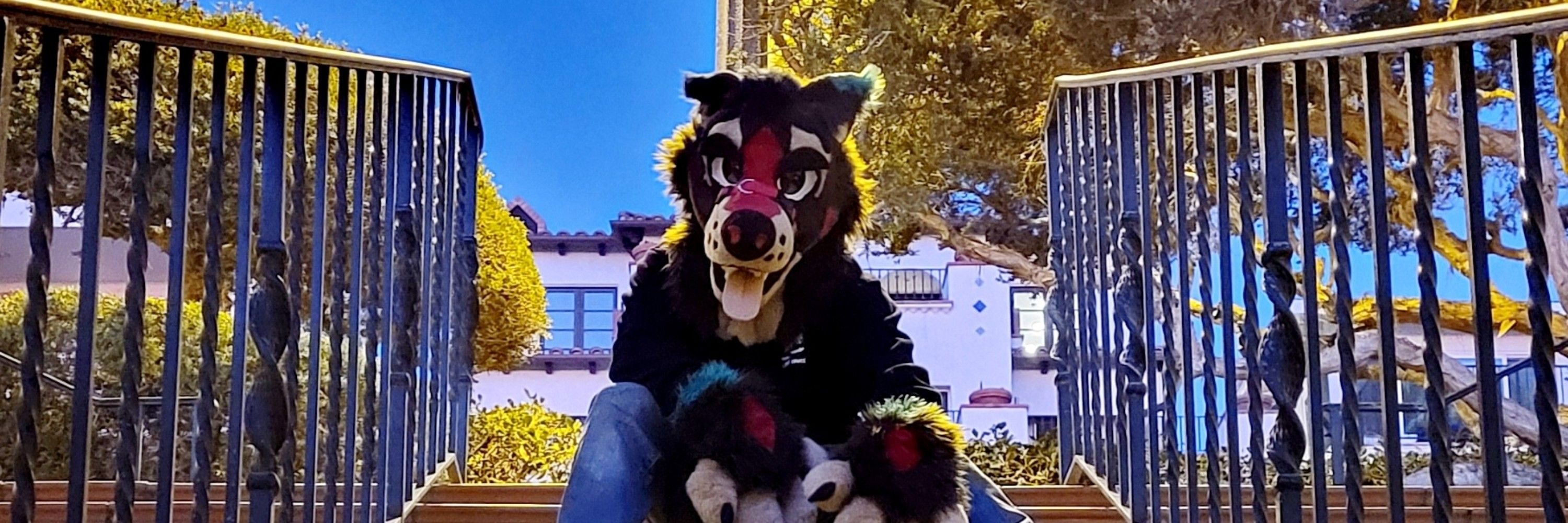 Towo The Doggo