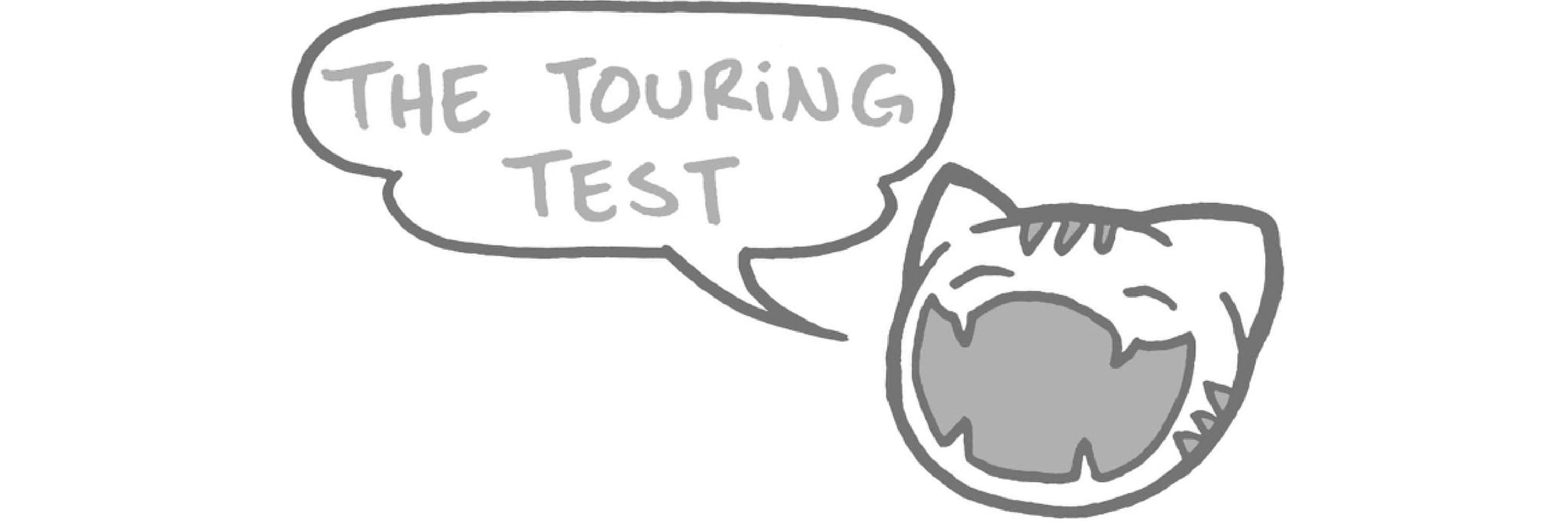 The Touring Test
