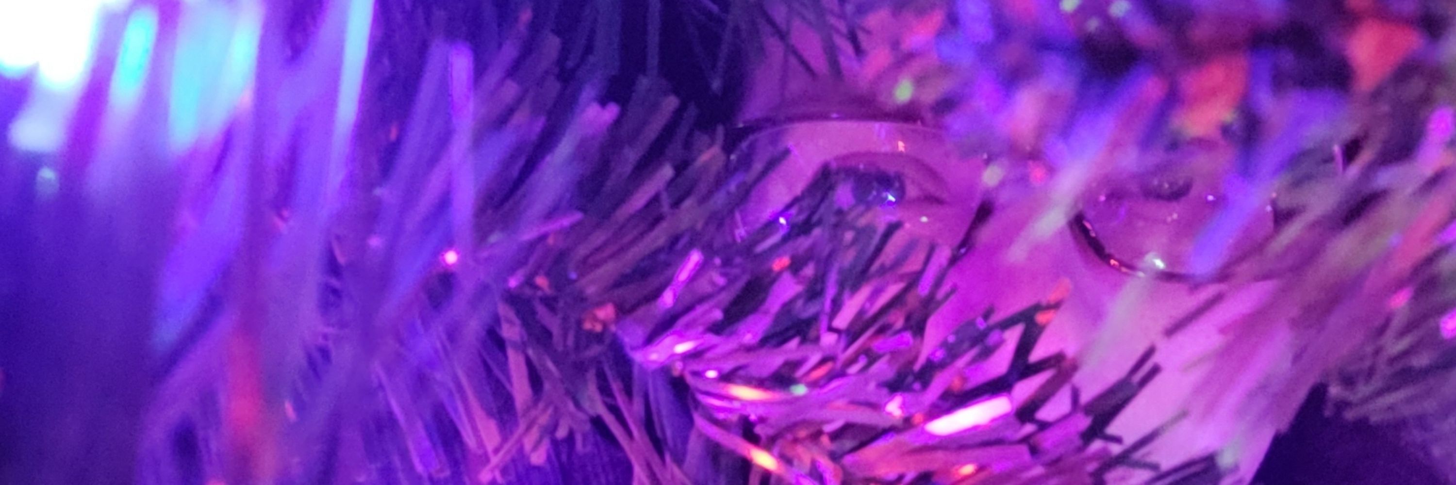 Owlbug