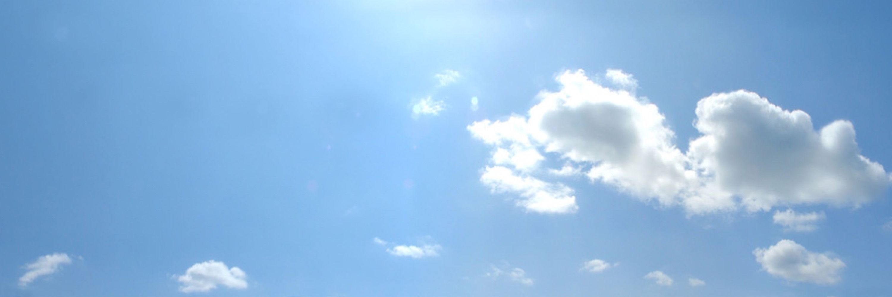 گزارشگر