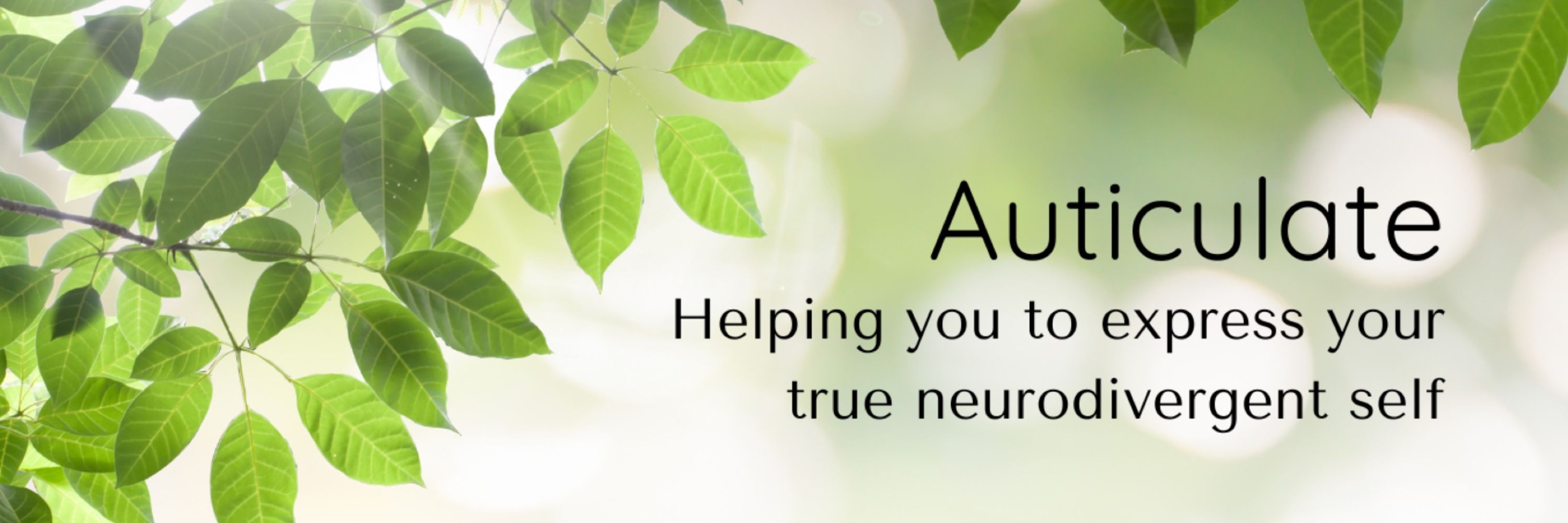 Auticulate