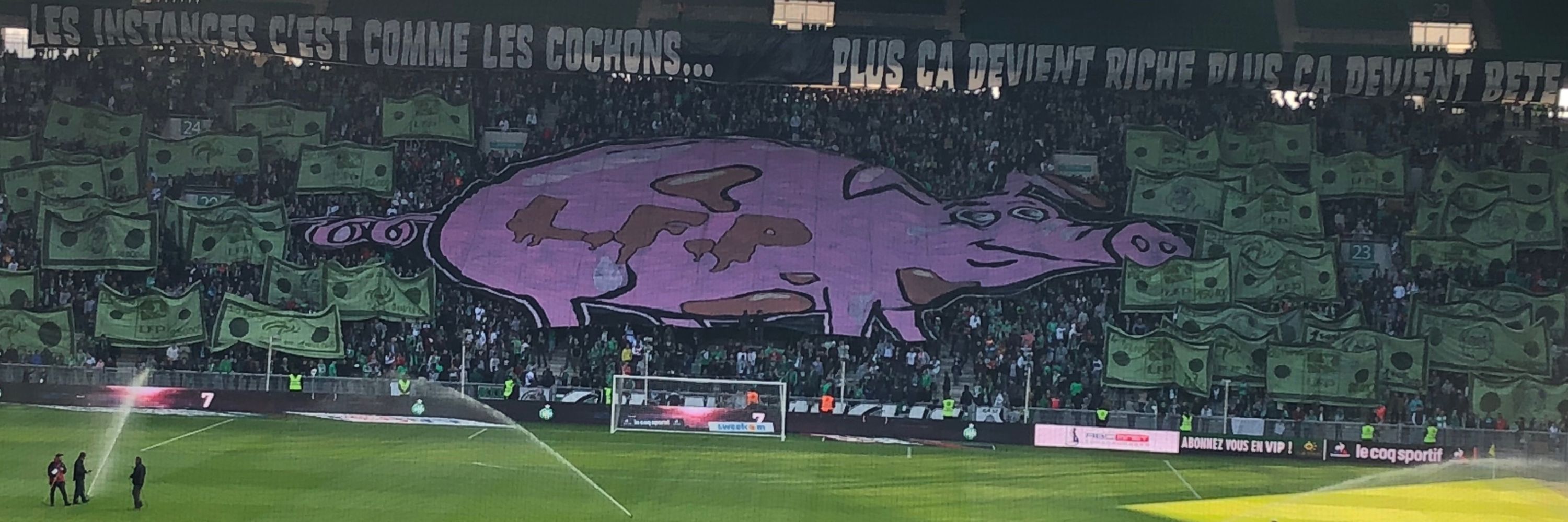 Cris