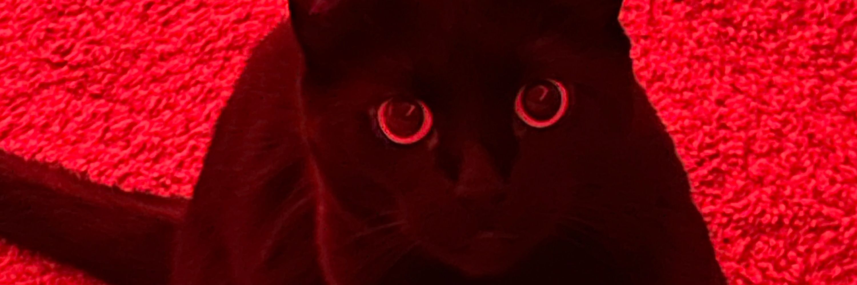 seb