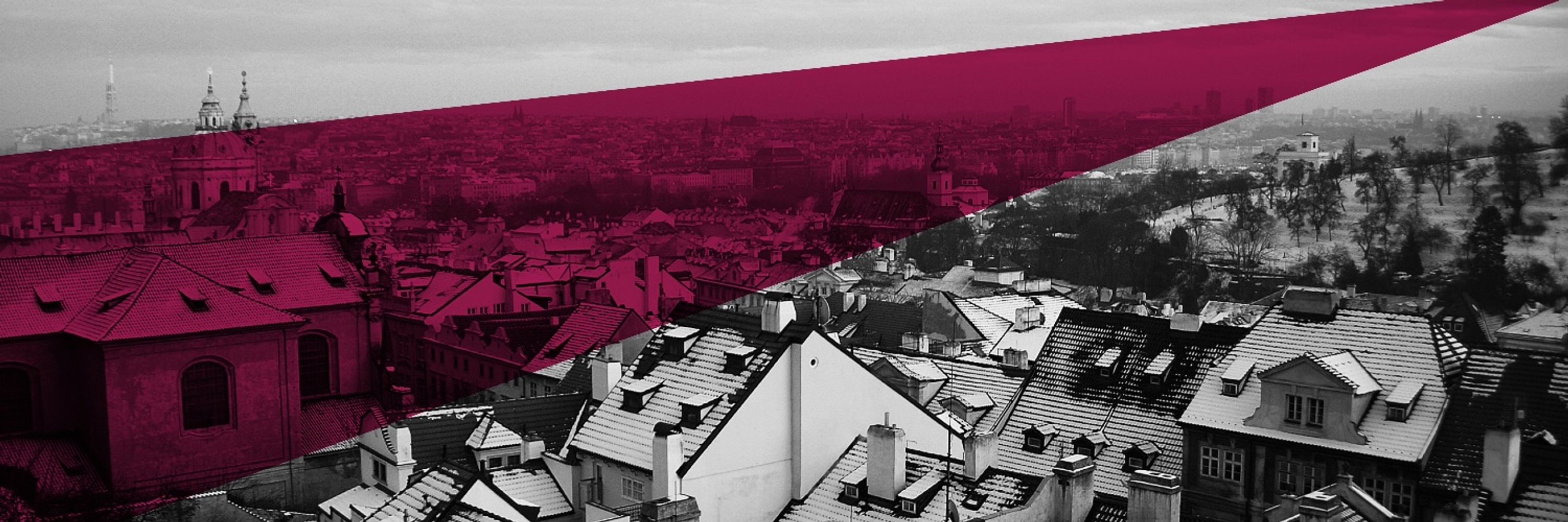 Prague Security Studies Institute