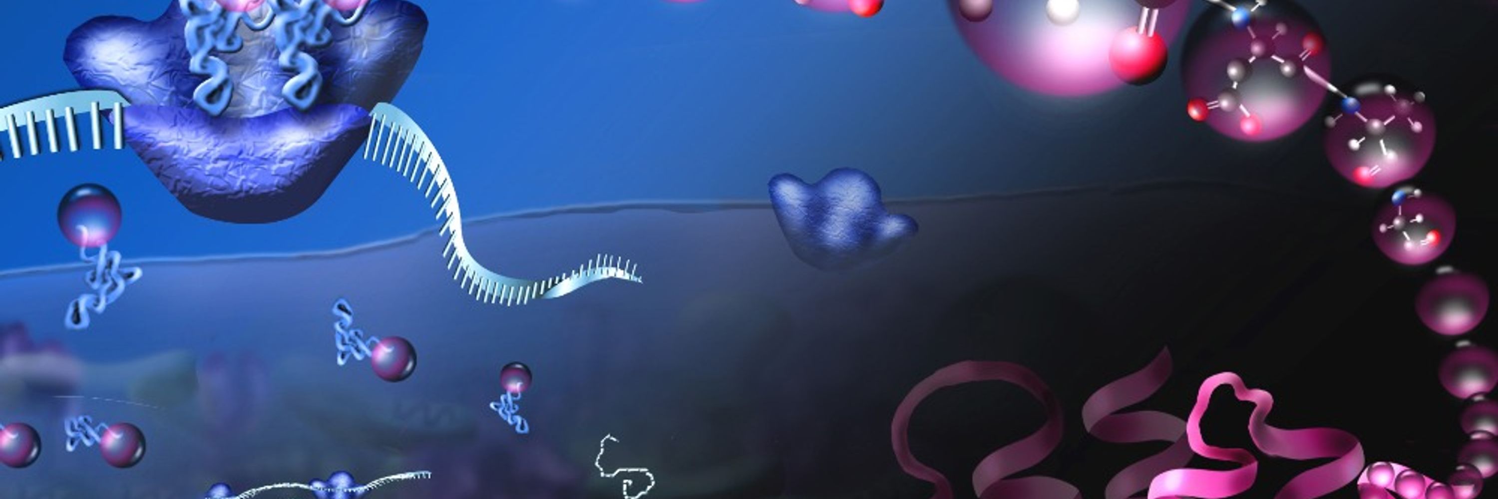 C-GEM, the NSF Center for Genetically Encoded Materials