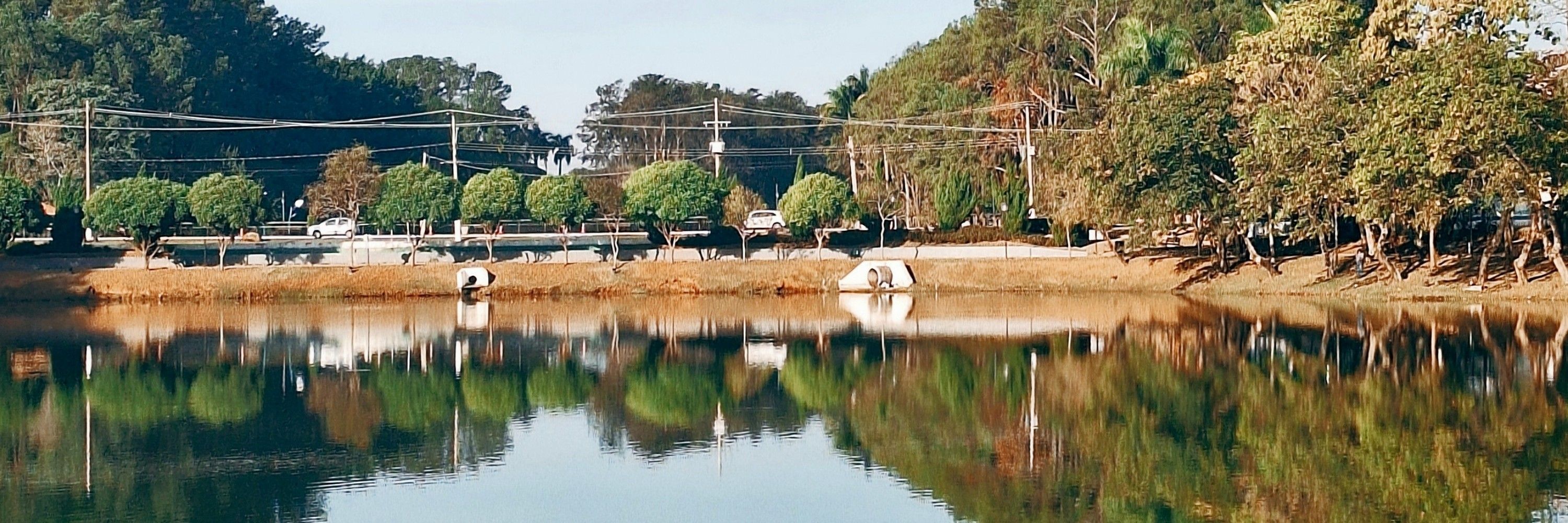 wydomi_
