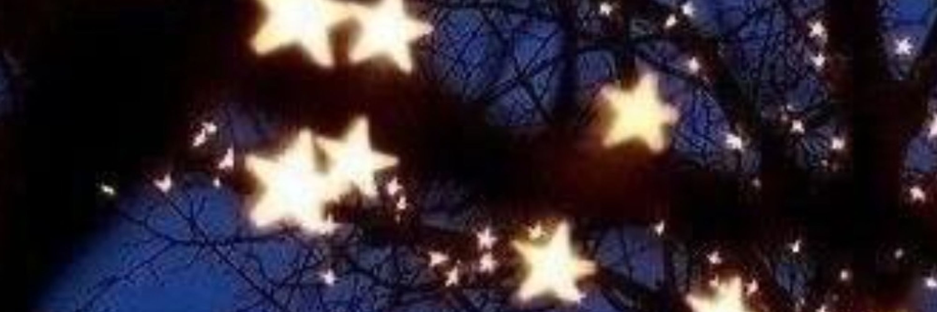 Lost in Starlit Woods
