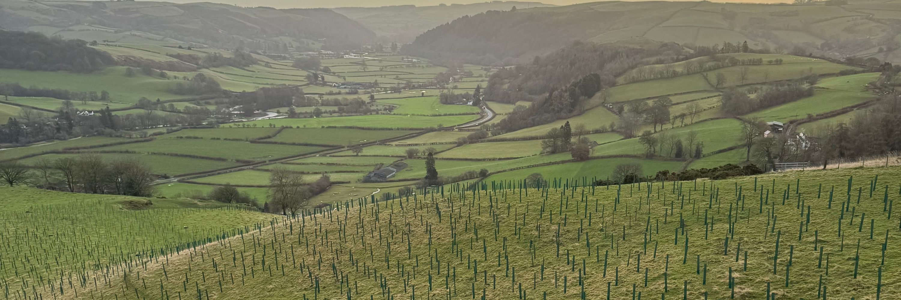 Protect Earth UK