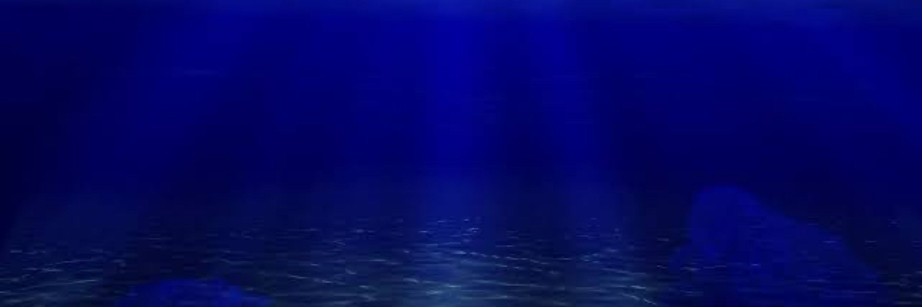 dory