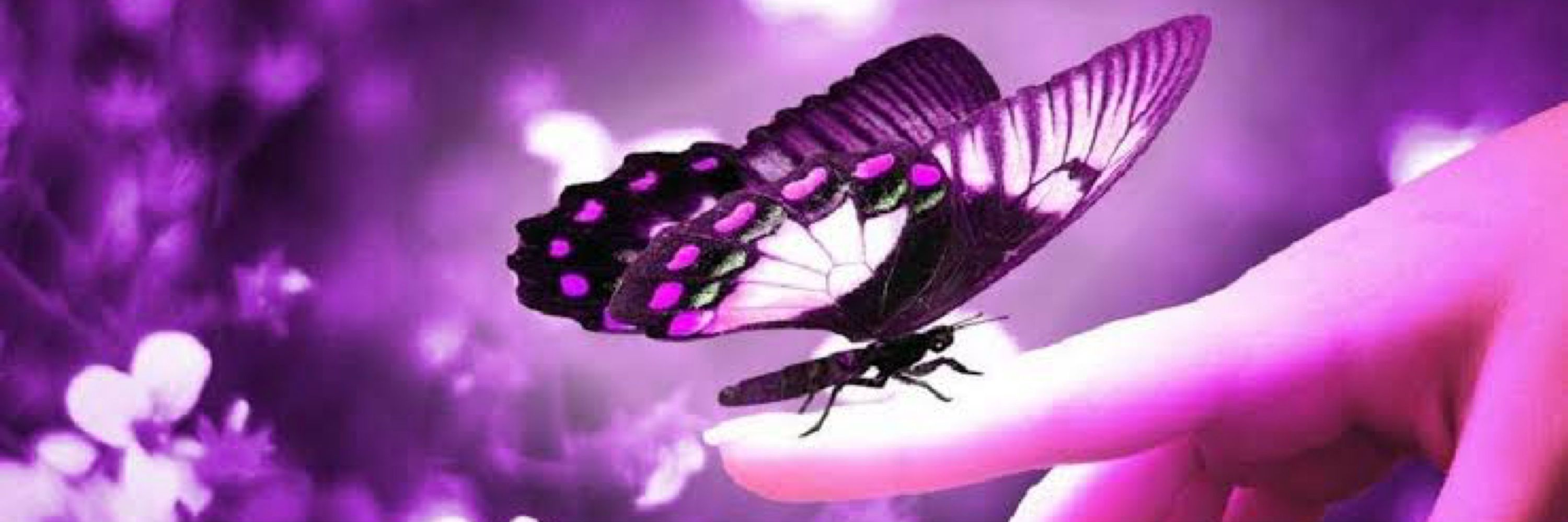 れふぃ🦋‪🍀