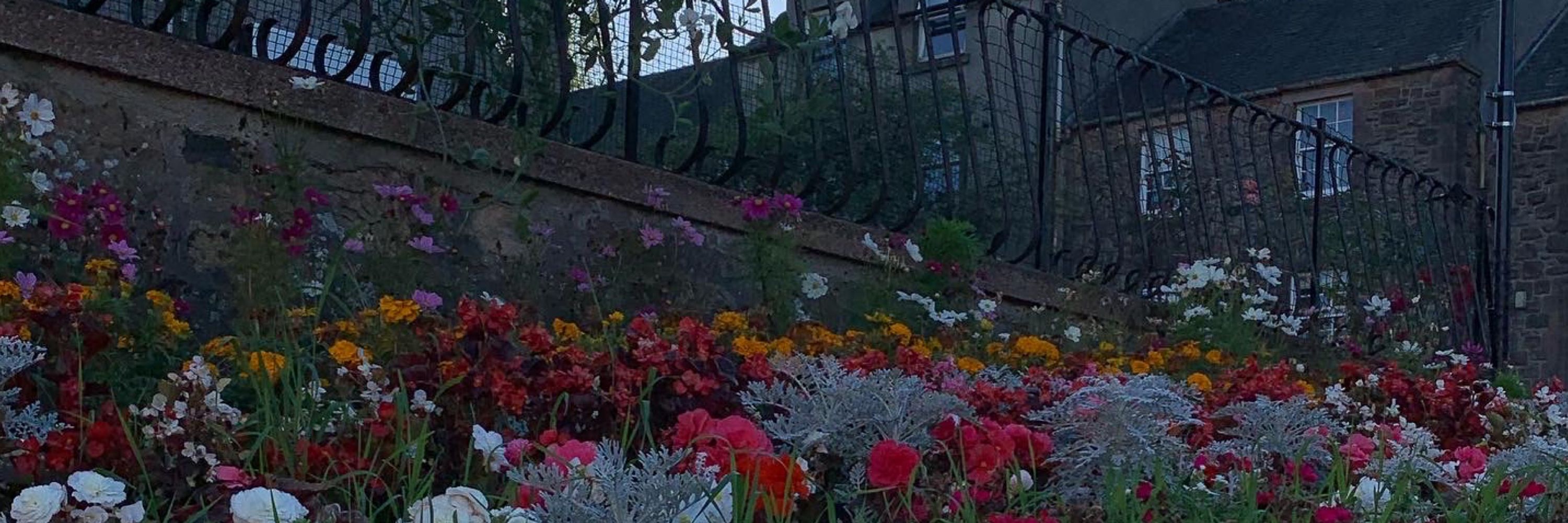 ♡𝑏𝑒𝑒✩