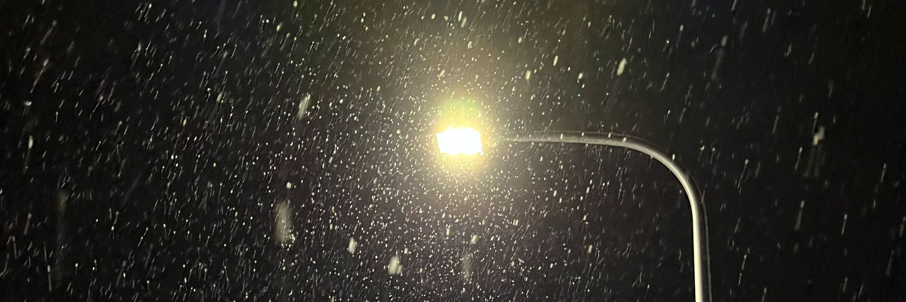 雪ちゃん銀☆世☆界