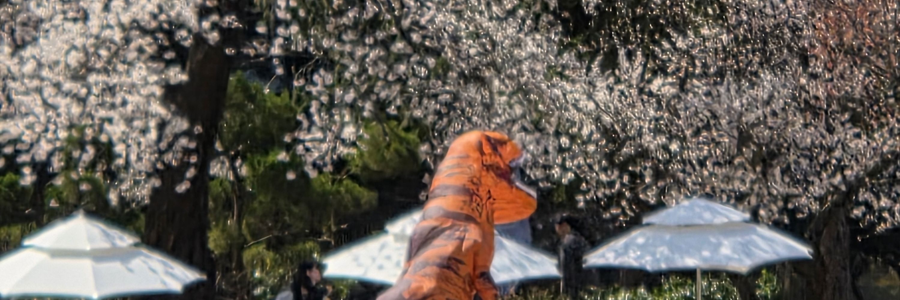 무지 [ 익명이 ]