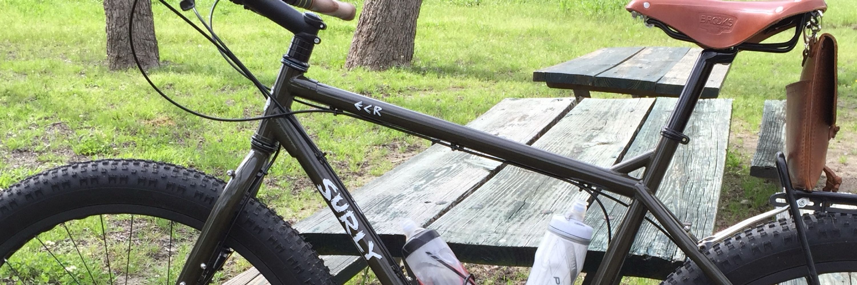 Surly Bastard
